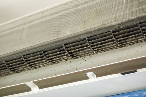  Palmetto Bay, FL Airduct Cleaning Pros